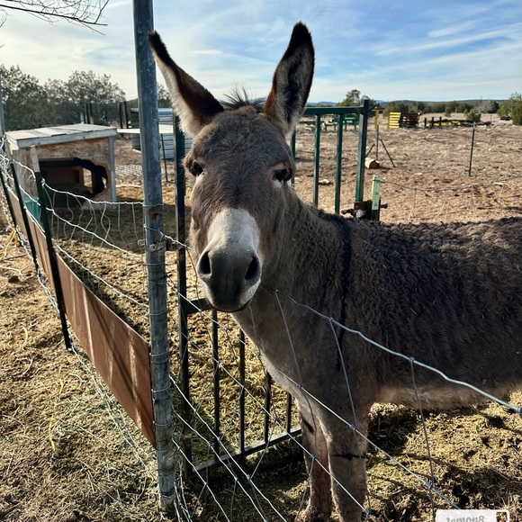 ❤️ OUR SHIP TIMES‼️ PLEASE NOTE‼️❤️ - Picture 15 of 16